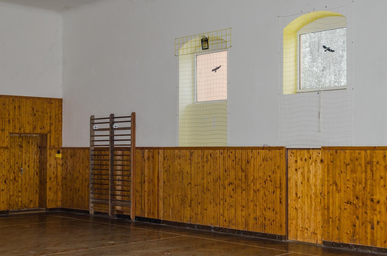 Penzion Sportino Svoboda nad Úpou Zewnętrze zdjęcie